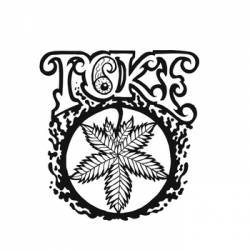 Toke (USA) : Demo 2014